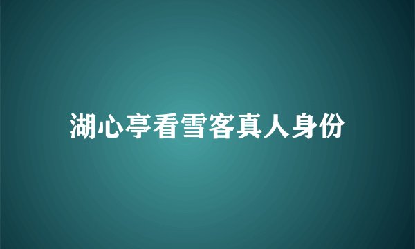 湖心亭看雪客真人身份