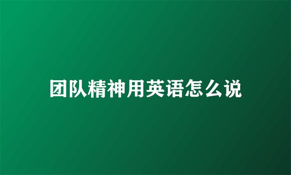 团队精神用英语怎么说