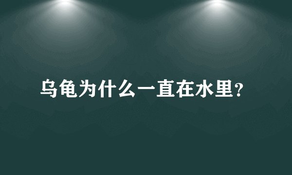 乌龟为什么一直在水里？