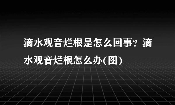 滴水观音烂根是怎么回事？滴水观音烂根怎么办(图)