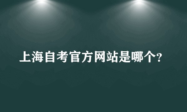 上海自考官方网站是哪个？