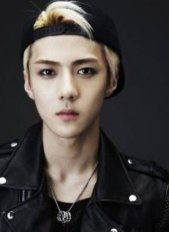 EXO一共几个人?