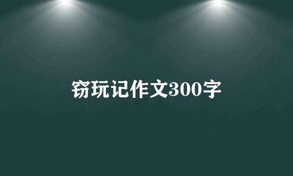 窃玩记作文300字