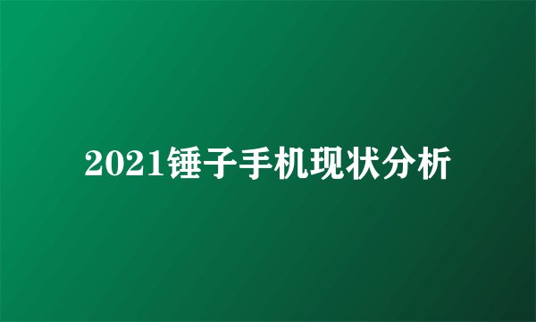 2021锤子手机现状分析
