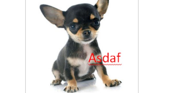 怎么在WPS里把文本框和图片组合在一起