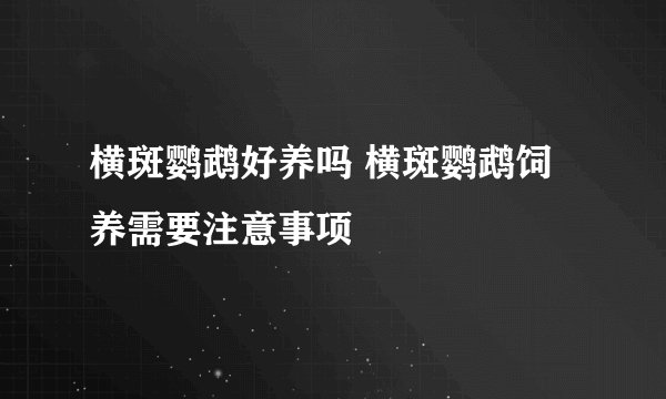 横斑鹦鹉好养吗 横斑鹦鹉饲养需要注意事项
