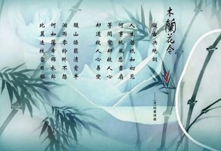 人生若是如初见什么意思？