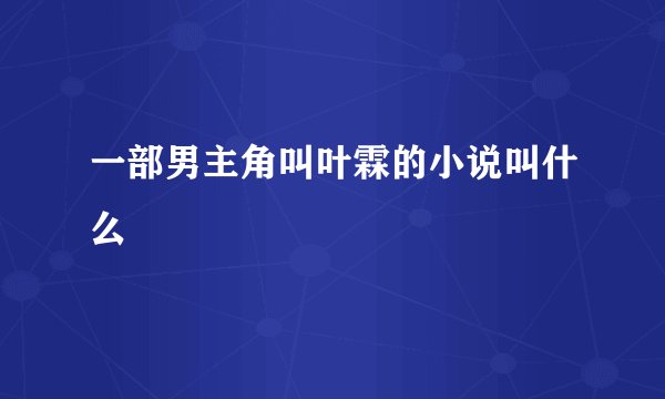 一部男主角叫叶霖的小说叫什么