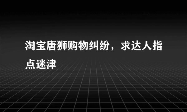 淘宝唐狮购物纠纷，求达人指点迷津