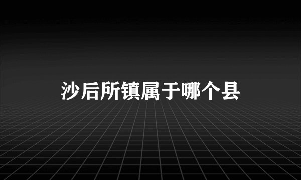 沙后所镇属于哪个县