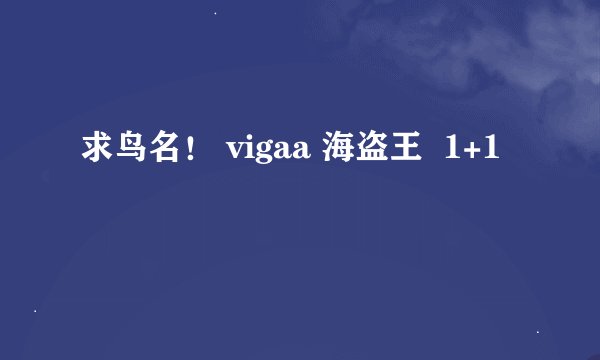 求鸟名！ vigaa 海盗王  1+1