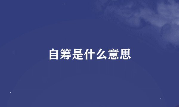 自筹是什么意思