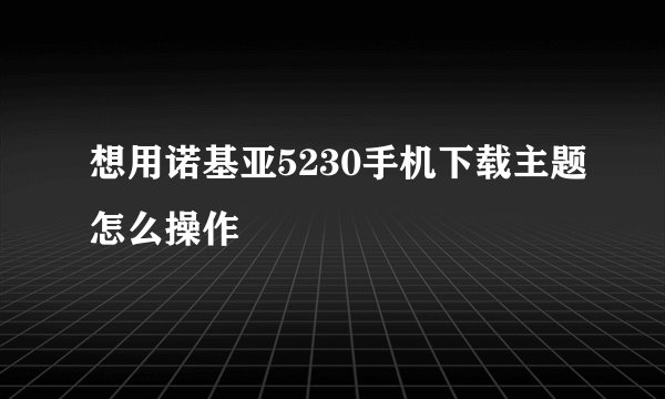 想用诺基亚5230手机下载主题怎么操作