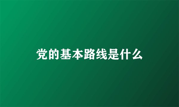 党的基本路线是什么