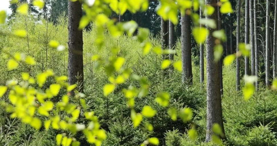 “枯木逢春犹再发，人无两度再少年。”