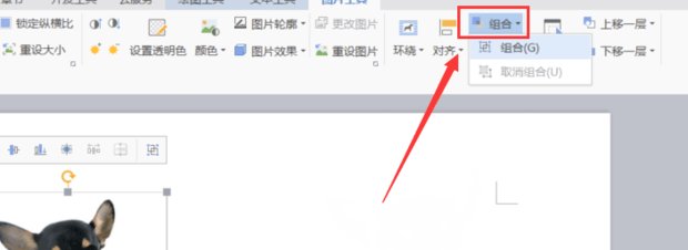 怎么在WPS里把文本框和图片组合在一起