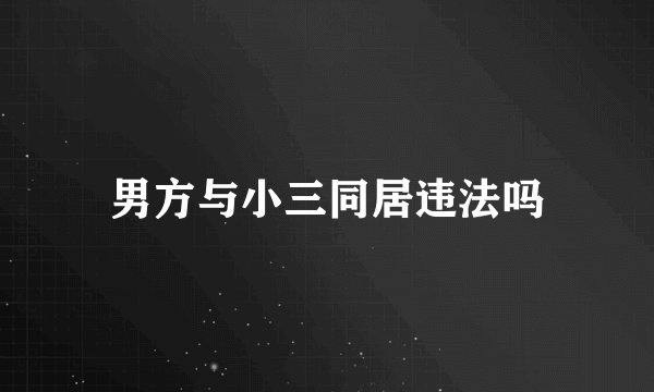 男方与小三同居违法吗