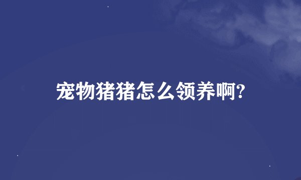 宠物猪猪怎么领养啊?