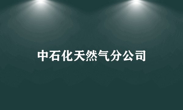 中石化天然气分公司