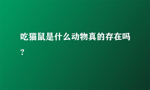 吃猫鼠是什么动物真的存在吗？