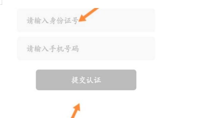 夜月怎么直播