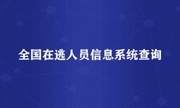 全国在逃人员信息系统查询