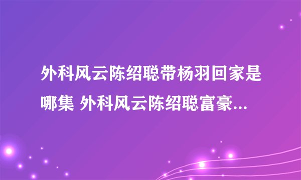外科风云陈绍聪带杨羽回家是哪集 外科风云陈绍聪富豪区的家第几集