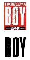 有没有人知道漫画《圣子到》里“BOY”是什么字体？