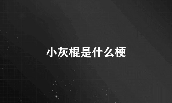 小灰棍是什么梗