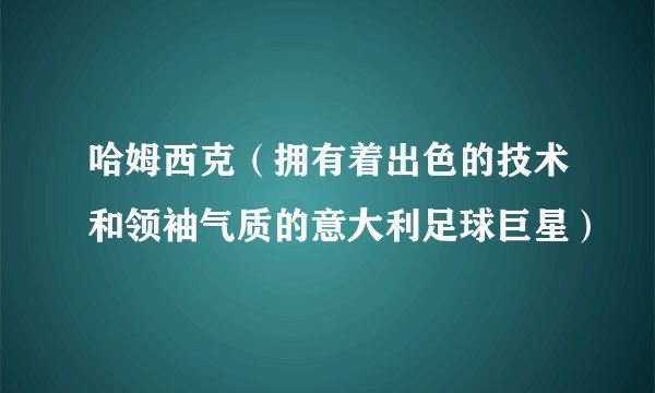 哈姆西克（拥有着出色的技术和领袖气质的意大利足球巨星）
