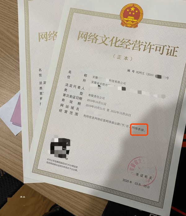 办理网络文化经营许可证申请条件