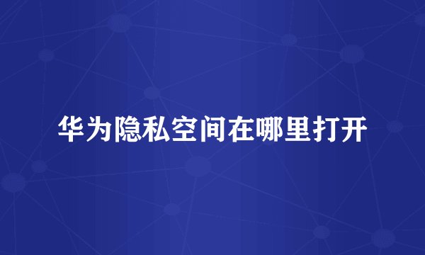 华为隐私空间在哪里打开