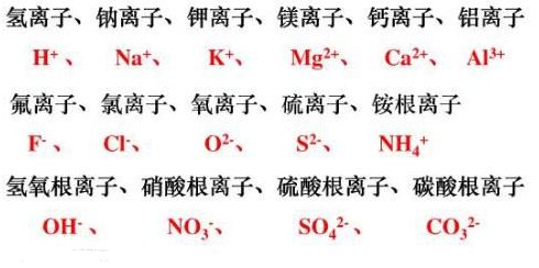 常见的离子有哪些？