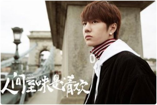 人间至味是清欢的演员表