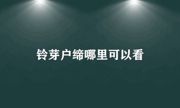 铃芽户缔哪里可以看