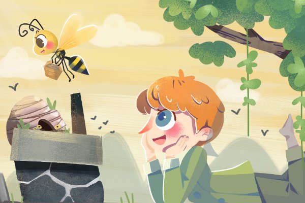 昆虫记的昆虫卡片内容初中