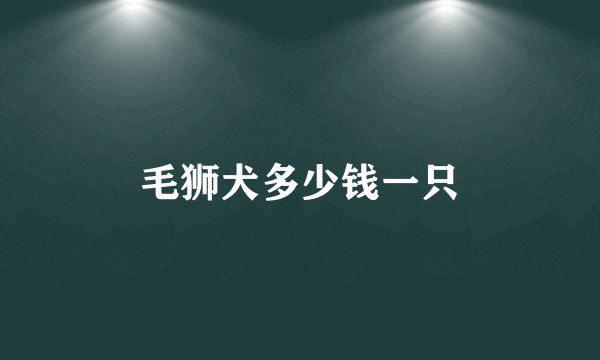 毛狮犬多少钱一只