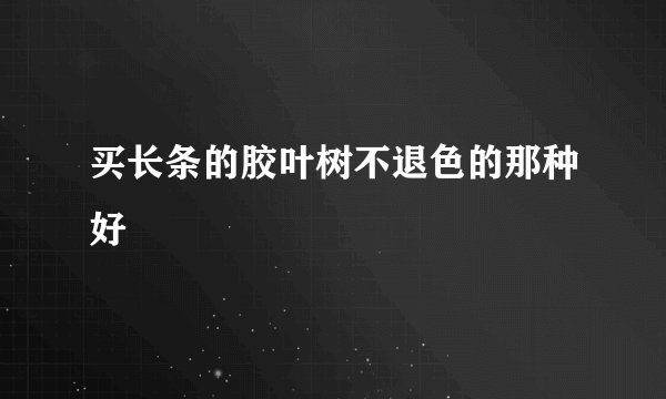 买长条的胶叶树不退色的那种好