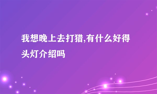 我想晚上去打猎,有什么好得头灯介绍吗