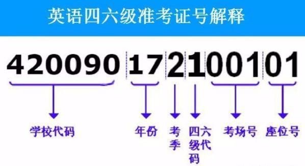 怎么查六级准考证号