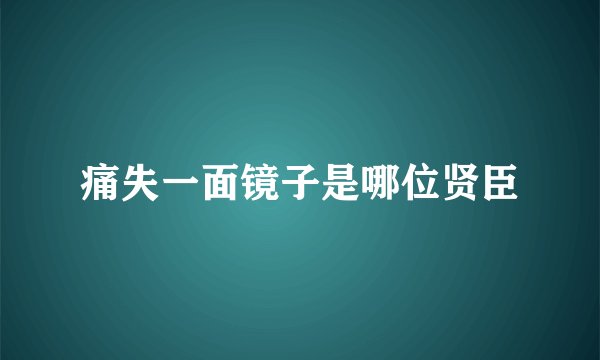 痛失一面镜子是哪位贤臣