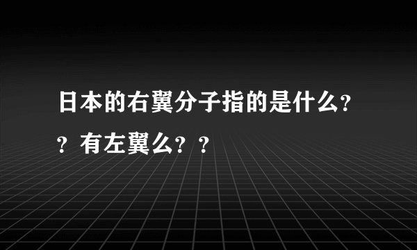 日本的右翼分子指的是什么？？有左翼么？？