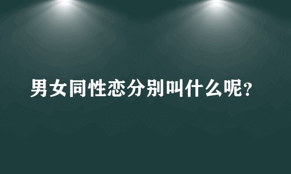 男女同性恋分别叫什么呢？