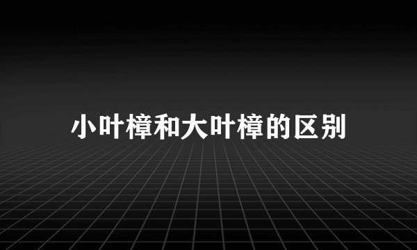小叶樟和大叶樟的区别
