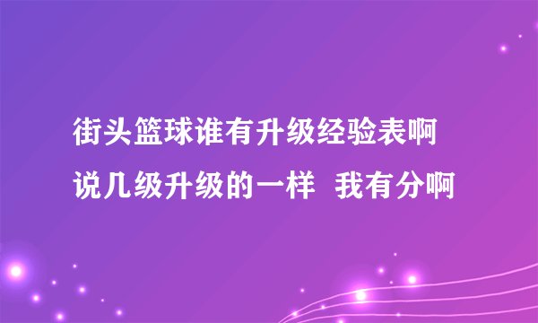 街头篮球谁有升级经验表啊  说几级升级的一样  我有分啊