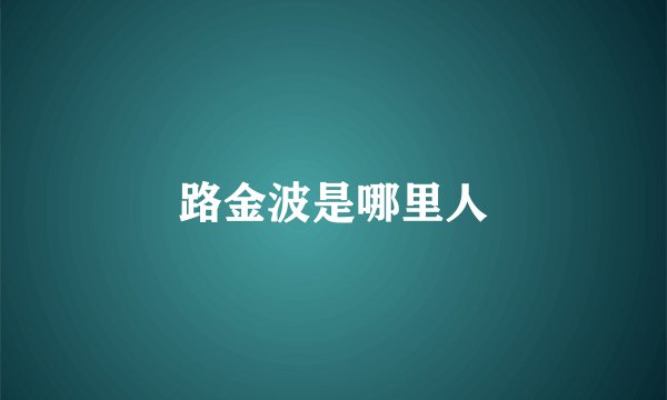 路金波是哪里人