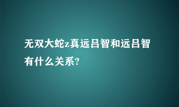 无双大蛇z真远吕智和远吕智有什么关系?
