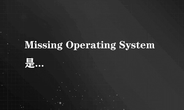Missing Operating System是什么意思？