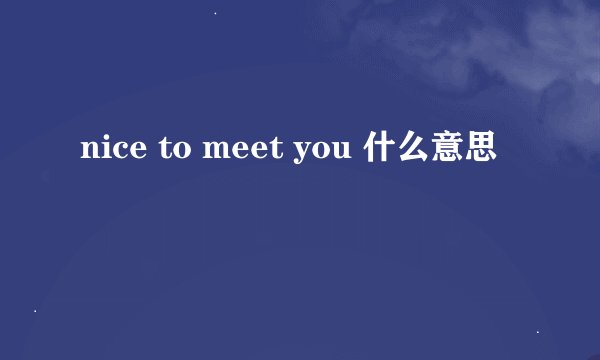 nice to meet you 什么意思