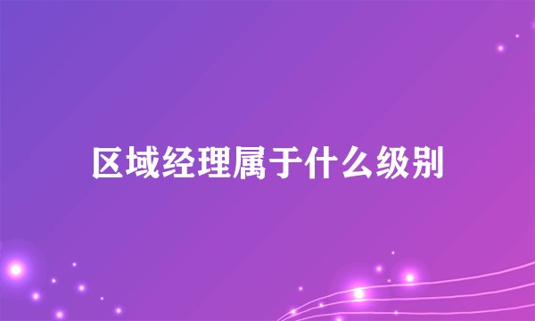 区域经理属于什么级别